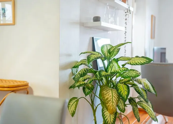 Oasis Sea View - 3 Bedrooms