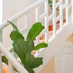 Oasis Sea View - 3 Bedrooms ヴィラ *