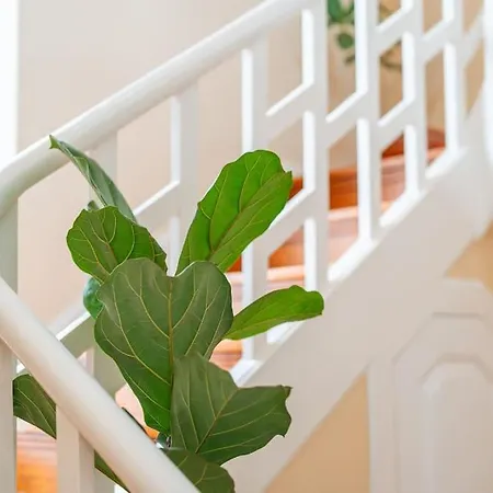 Oasis Sea View - 3 Bedrooms וילה *