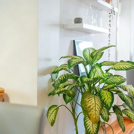 Oasis Sea View - 3 Bedrooms